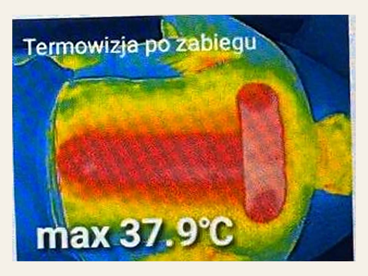 Obraz termowizyjny tych samych pleców po sesji, temperatura maksymalna 37,9 stopnia Celsjusza